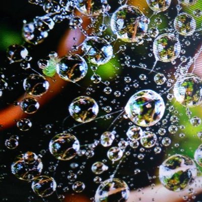 Profile Picture of Julia Ayuso (@ayuso_julia) on Twitter