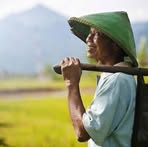 Profile Picture of Zampron Pron (@Zampron-Pron) on Facebook