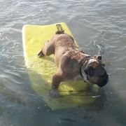 Profile Picture of Erick Oropeza (@oerick) on Pinterest