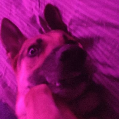 Profile Picture of Devin Conroy (@devin_conroy) on Twitter