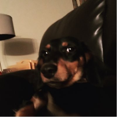 Profile Picture of Alex Burdick (@burdick_alex) on Twitter