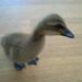 Profile Picture of Julie Lormor (@lormor3672) on Pinterest