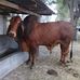 Profile Picture of Fausto Diaz (@fausto.diaz.9699) on Facebook