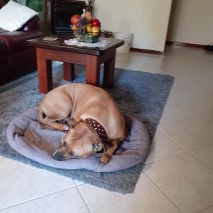 Profile Picture of Gary Sampson (@GarySam68937057) on Twitter