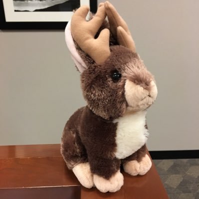 Profile Picture of The Cup Is Half Full Metal Alchemist (@Jeffrey_of_Troy) on Twitter