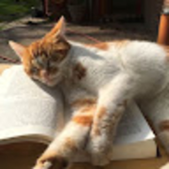 Profile Picture of Mayzie Swedish (@mswedish07) on Poshmark