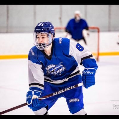 Profile Picture of Michael Picarella (@Mikepicarella) on Twitter