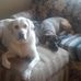 Profile Picture of Randy Baer (@randy.baer.79) on Facebook