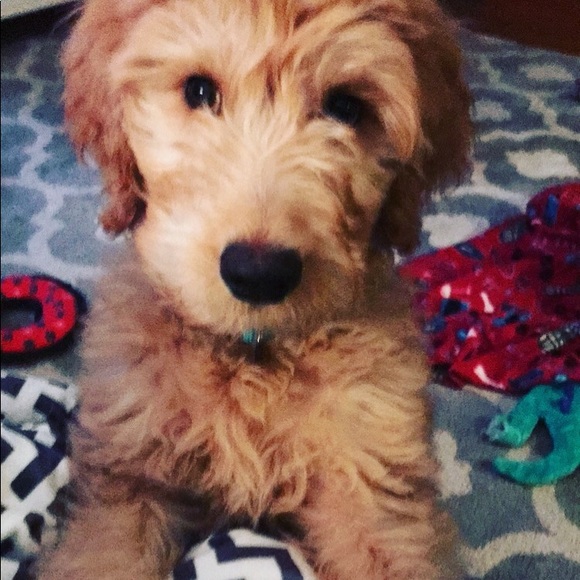 Profile Picture of Bethany Seefeldt (@bseefeldt) on Poshmark