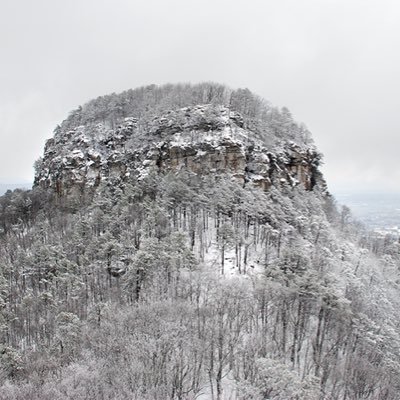 Profile Picture of Chris LaDuke (@LadukeChris) on Twitter