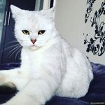 Profile Picture of Patricia Houp (@patriciahoup) on Instagram