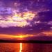 Profile Picture of Sam Coco (@samandcoco) on Pinterest