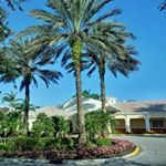 Profile Picture of Carol Reichenberg (@carolmoonn) on Instagram