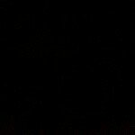 Profile Picture of Devon and hope aka DOPE (@r.i.p_devon_zigler) on Instagram