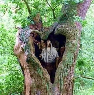 Profile Picture of Joel Esqueda Molina (@Joel-Esqueda-Molina) on Facebook