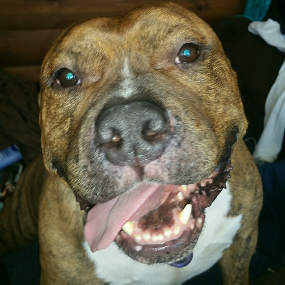 Profile Picture of Dustin Getz (@dustin_getz) on Poshmark