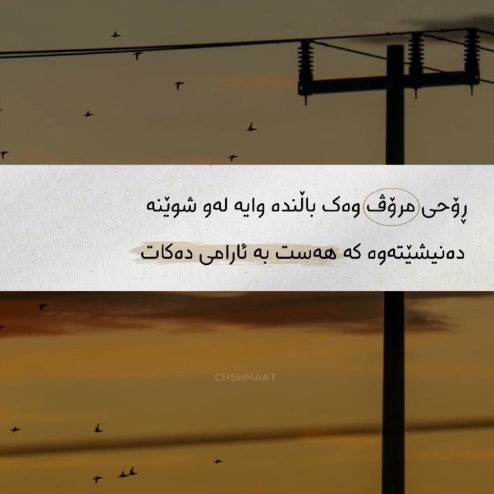 Profile Picture of Ahmad abdwl latif (@ahmad.abdwllatif) on Tiktok