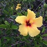 Profile Picture of Joyce Waldorf (@joycensheldon) on Instagram