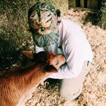 Profile Picture of Brent Long (@brentsolong) on Instagram
