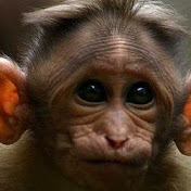 Profile Picture of Camden Davis (@camdendavis6073) on Youtube