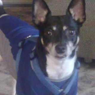 Profile Picture of Veronica Jenkins (@veronica.jenkins.7503) on Facebook
