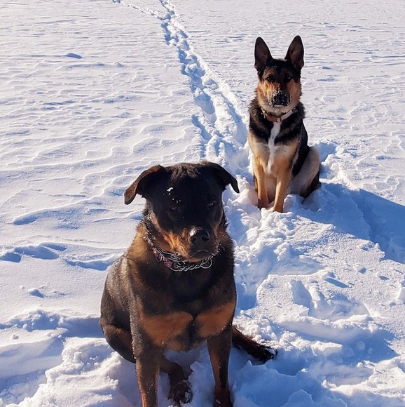 Profile Picture of Chris Overton (@croverton) on Poshmark