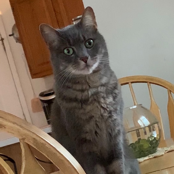 Bradley Murry - Poshmark Profile Picture of Bradley Murry (@bmurry99) on Poshmark