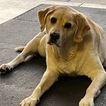 Profile Picture of Kim Grafe Brett (@khbrett4) on Instagram