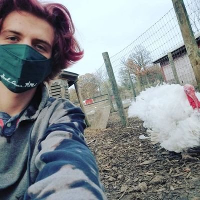 Profile Picture of Cameron Edwards Ⓥ (@unfilteredvegan) on Twitter