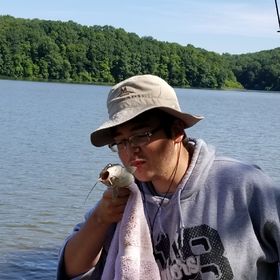 Profile Picture of Cameron Booth (@TheCameronBooth) on Pinterest