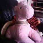 Misty Moses - Instagram Profile Picture of Misty Moses (@_misty_the_unicorn_) on Instagram