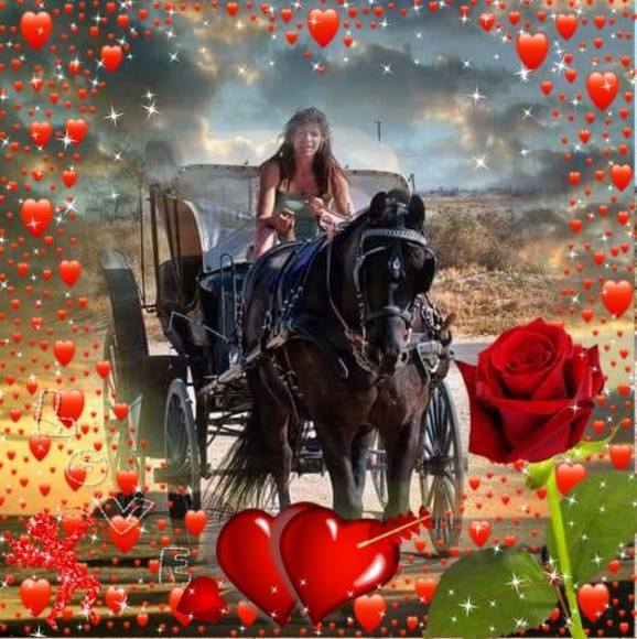 Profile Picture of Gretchen Callahan (@roadworkertwo) on Poshmark