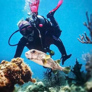 Profile Picture of Lisa Groene (@lisa.groene) on Instagram