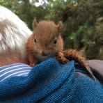 Profile Picture of George McCallin (@george.mccallin) on Facebook