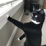 Profile Picture of Michael Fejes (@michael.fejes.7) on Instagram