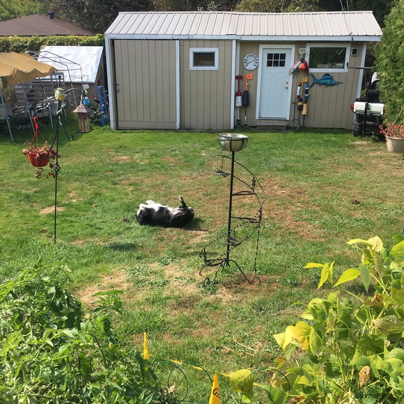 Profile Picture of Alice Farrell (@alice_farrell) on Poshmark