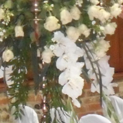 Profile Picture of Tracy Curtis (@weddingchairs) on Twitter