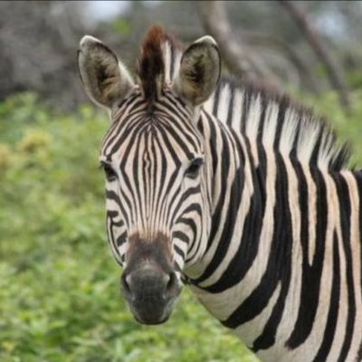 Profile Picture of David.stoneman (@Stoneman39c) on Twitter