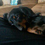 Profile Picture of Nancy Panelli (@nancypanelli) on Instagram