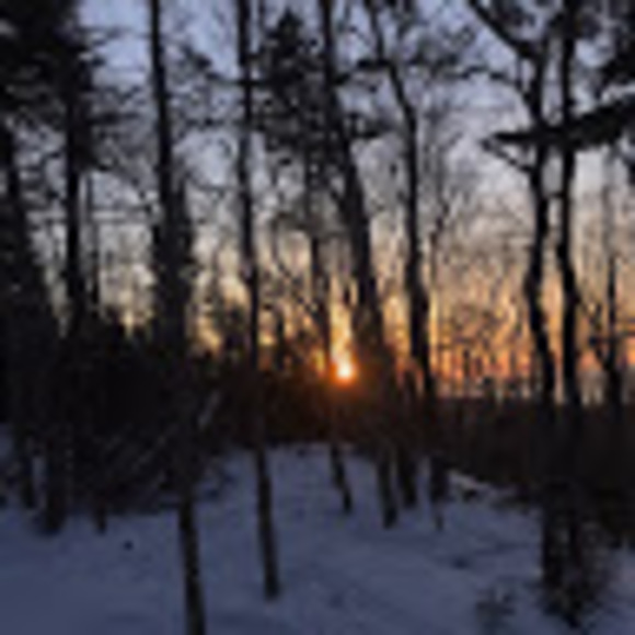 Profile Picture of Maureen Kelly paul (@maureenkelly791) on Poshmark