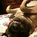 Profile Picture of Mitzi Keller (@mitzikeller) on Pinterest