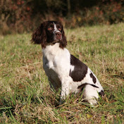 Profile Picture of Kevin Haywood (@kevinhaywood1505) on Youtube