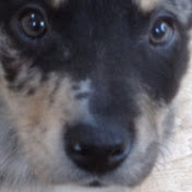 Profile Picture of Seth Knight (@sethknight8409) on Youtube