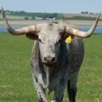 Profile Picture of Barry Heinemann (@barryheinemann) on Instagram