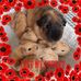 Profile Picture of Maureen Gladden (@maureen.gladden) on Facebook
