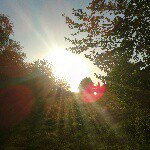 Profile Picture of Löwe <3 (@merle_loewe) on Instagram