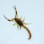 Profile Picture of Dedrick van Tonder (@dedricktonder) on Instagram