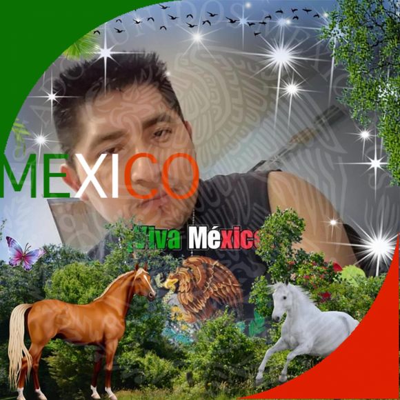 Profile Picture of Pascual Hernandez (@pascual_h) on Poshmark