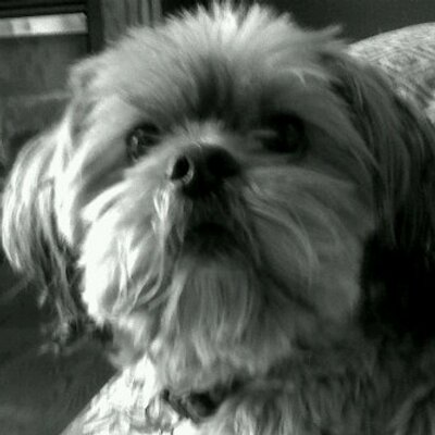 Profile Picture of John DeCoste (@JMDeCoste) on Twitter