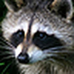 Profile Picture of Jimmy Kumpulainen (@jimmy kumpulainen) on Flickr